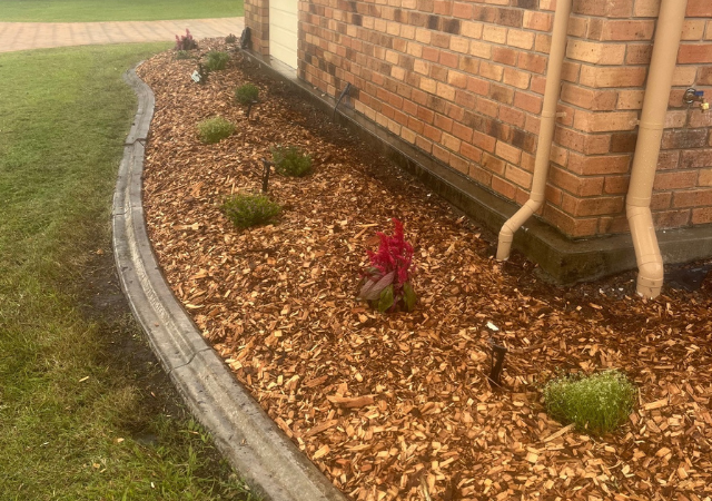 Premier Mowing Project 5