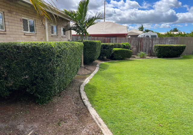 Premier Mowing Project 8
